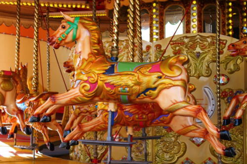 Merry-Go-Round Magic